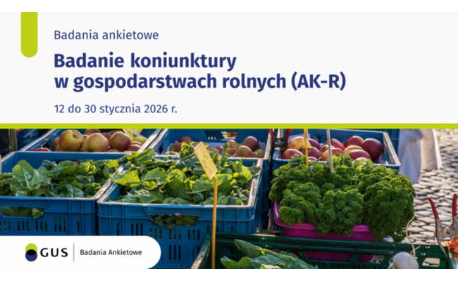 Zdjęcie artykułu pod tytułem Badanie...