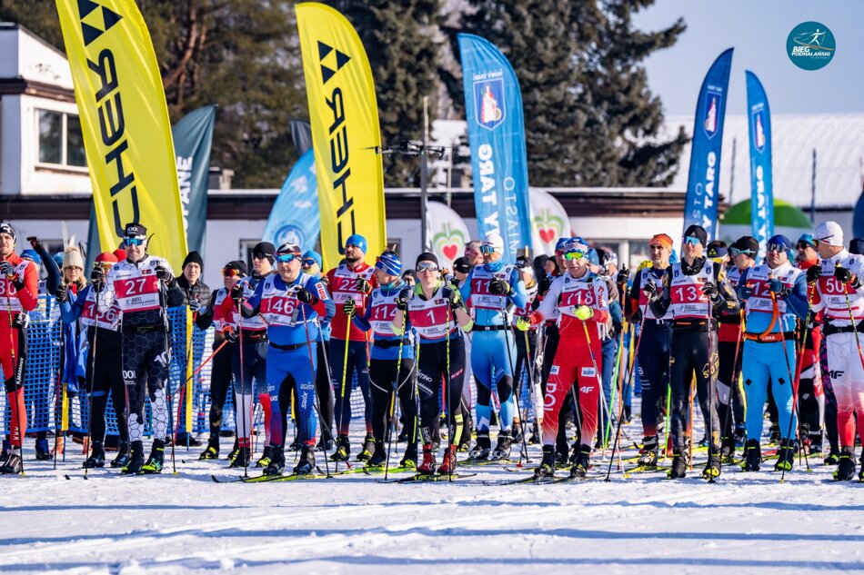 To jest zdjęcie artykułu