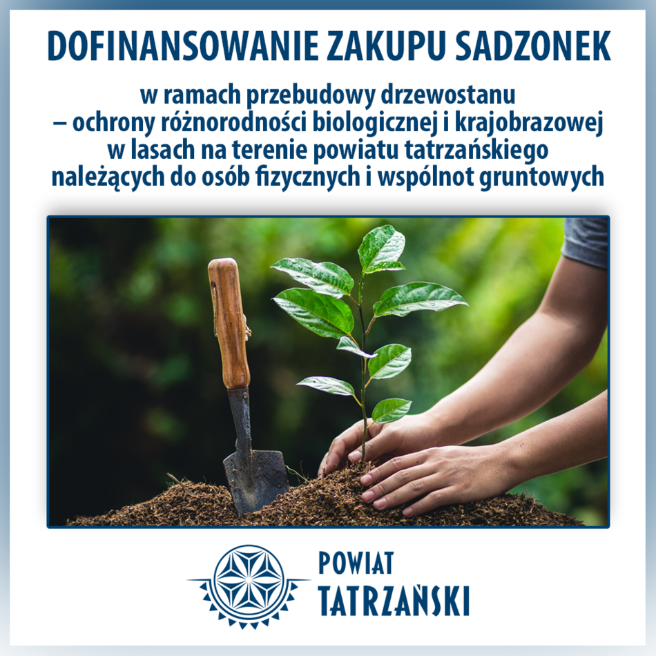 To jest zdjęcie artykułu