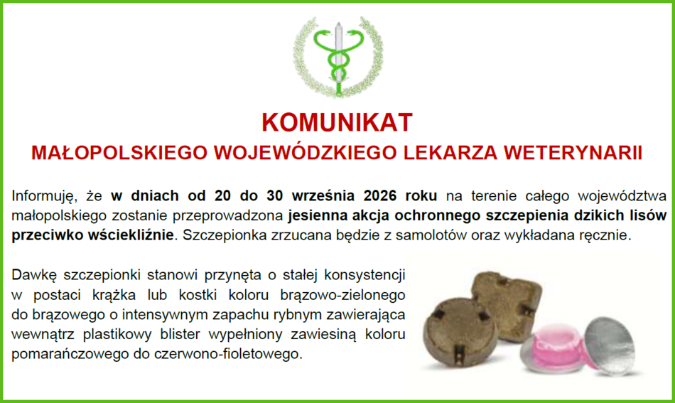 To jest zdjęcie artykułu